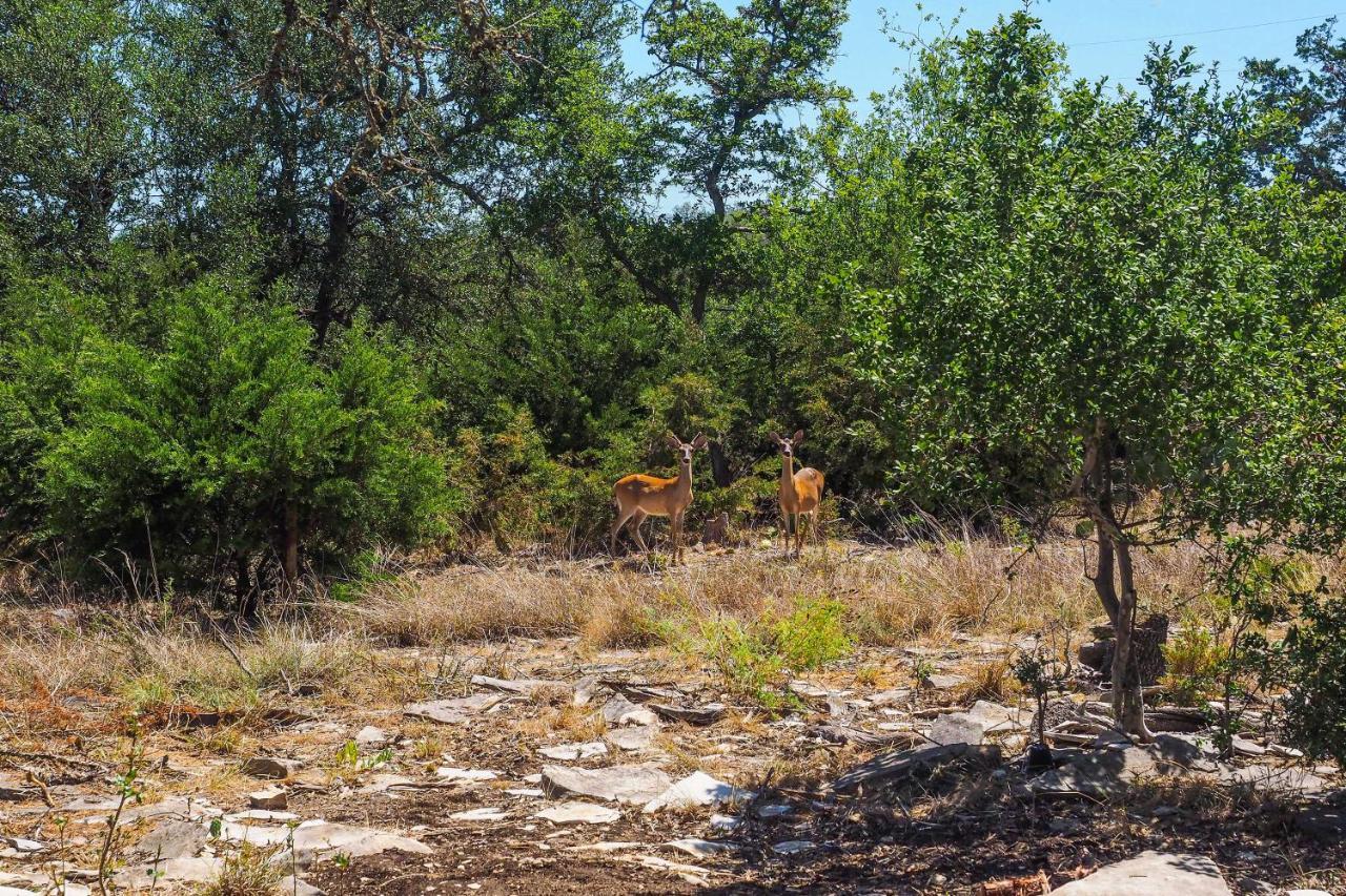 Cozy Kerrville Guest Cottage Near Guadalupe River! Esterno foto